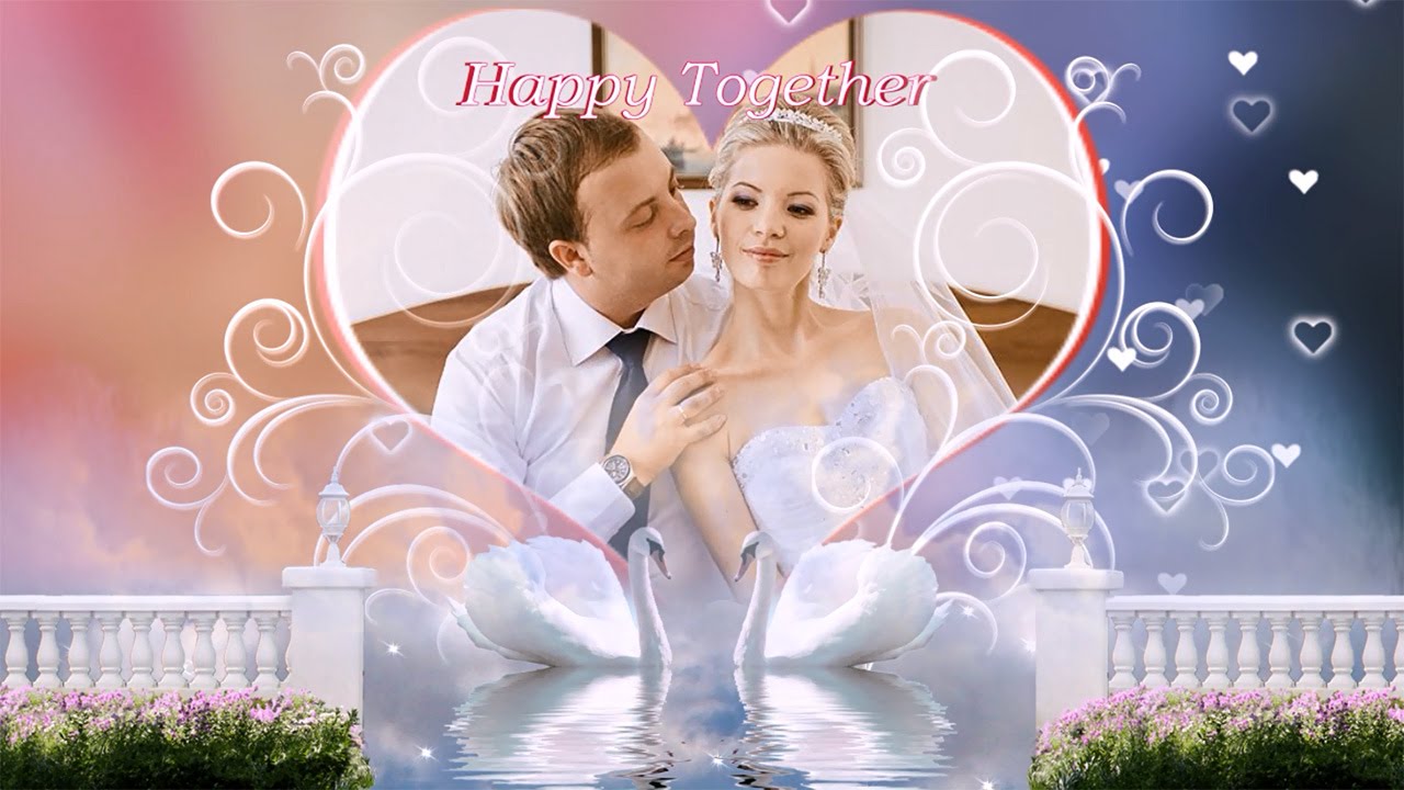 wedding reception slideshow templates delicate and tasteful design