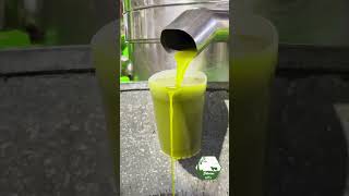 Dibeen extra virgin olive oil زيت زيتون دبين بكر ممتاز