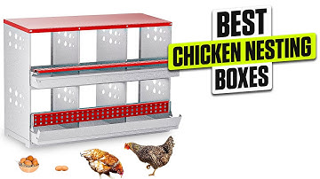 3 BEST Chicken Nesting Boxes