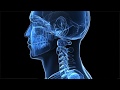 Head and Neck Cancer -- An Introduction