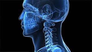 Head and Neck Cancer  An Introduction