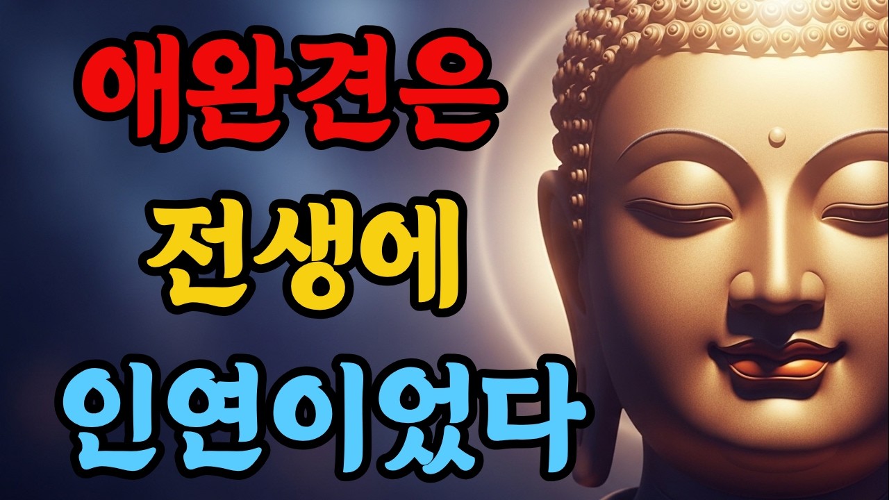 애완견은 전생에 인연이었다ㅣ반려견과 나는 전생부터 이어진 깊은 인연ㅣ먼저 떠난 반려견이 보내는 신호ㅣ불교가 말하는 동물과 인간의 전생 인연ㅣ부처의 지혜