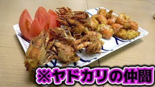 【高級食材】ヤドカリの仲間を2種類の揚げ料理にしてみた！！