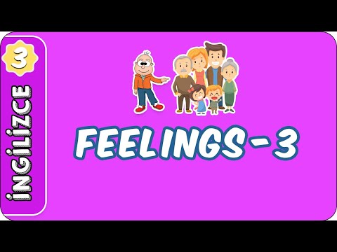 Feelings - 3 | 3. Sınıf İngilizce evokul Kampı