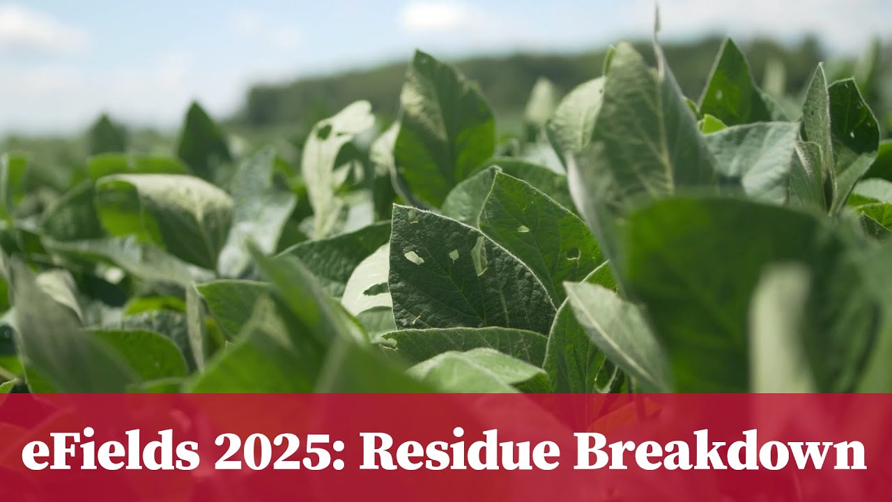 eFields On-Farm Research 2025: Residue Breakdown