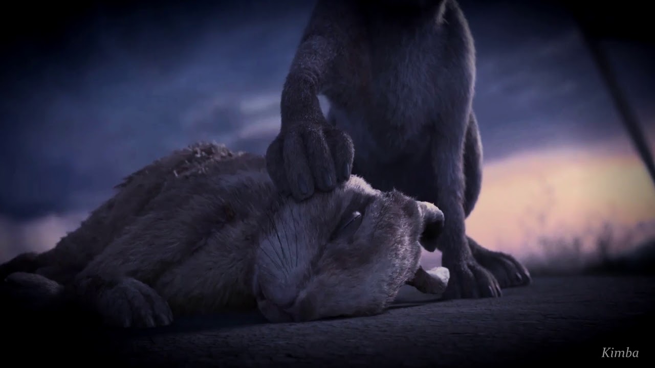 Watership Down - Battlefield