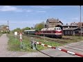 Fotozug mit der "Dicken" 118 748 in der Ruppiner Heide 03.05.2015