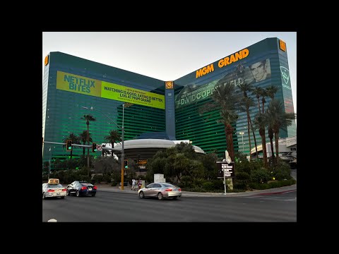 Hollywood Florida Seminole Hardrock hotel and casino! Bonus ending must watch! #adventure#hollywood