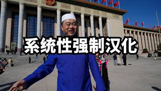 民族团结进步促进法：一次国家级系统性强制汉化/直播精选