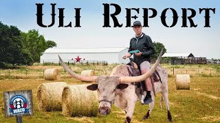 Uli Report 2025 Waco Edition.