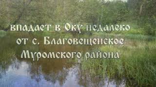 Любимая Река Ушна, Владимирская Область / Favorite River Ushna, Vladimir Region