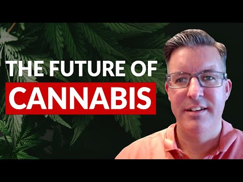 The CBD Scoop: Exclusive Interview with HempFusion Exec