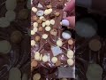 حلوة بالشكلاط لذيذة Sweet Brownies With Chocolate 