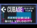 How To Randomize Midi Note Velocity in Cubase 12 (Humanize Midi Notes w/ Logical Editor)