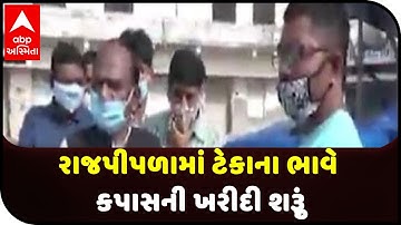 In Rajpipla, the purchase of cotton at support price started