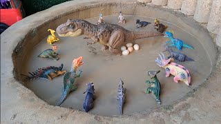 Dinossauros de Plástico Presos na Lama Parassaurolofo Triceratops Velociraptor Indominus Rex by DINOSSAURO ANIMAL 22,385 views 3 weeks ago 11 minutes, 2 seconds