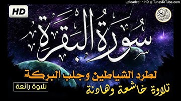 تلاوة هادئة تريح الاعصاب للنوم 💚 سورة البقرة 💚 قران كريم بصوت جميل جدا جدا للقارئ محمد رسلان