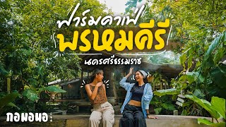 ฟาร์มคาเฟ่ กลางสวนผลไม้ พรหมคีรี นครศรีธรรมราช | กอมอนอ