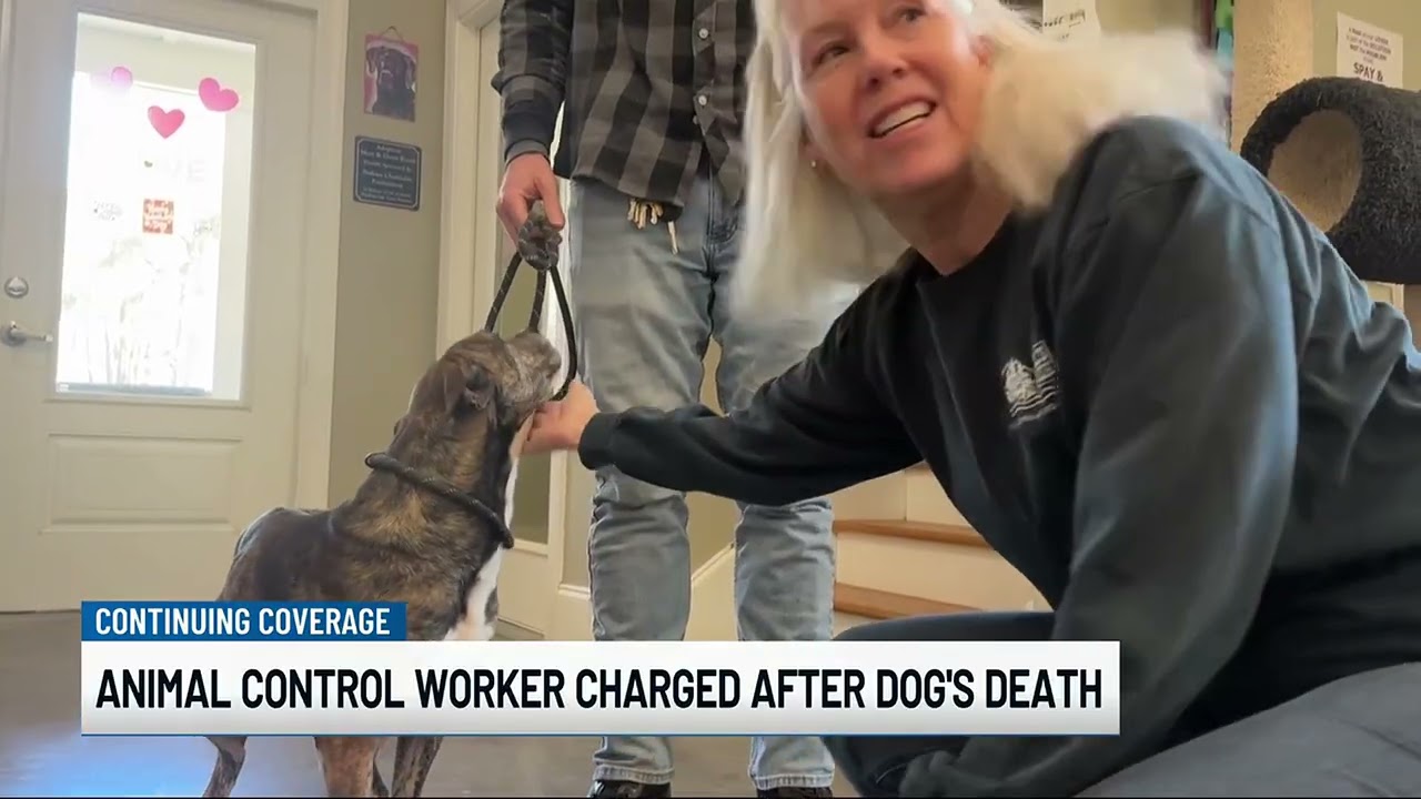 Monticello animal control officer arrested on animal neglect charge