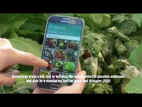 Diagnosis of Plant disease using mobile apps