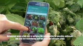 Diagnosis of Plant disease using mobile apps screenshot 4