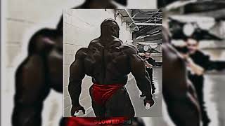 Ritmo Brutalismo - Ronnie Coleman