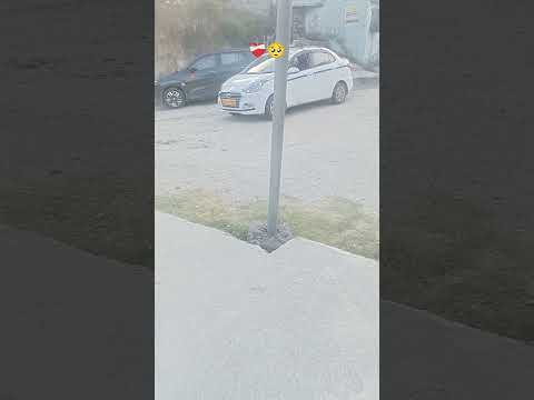Gaddi ha shaukeen Jatt Di
