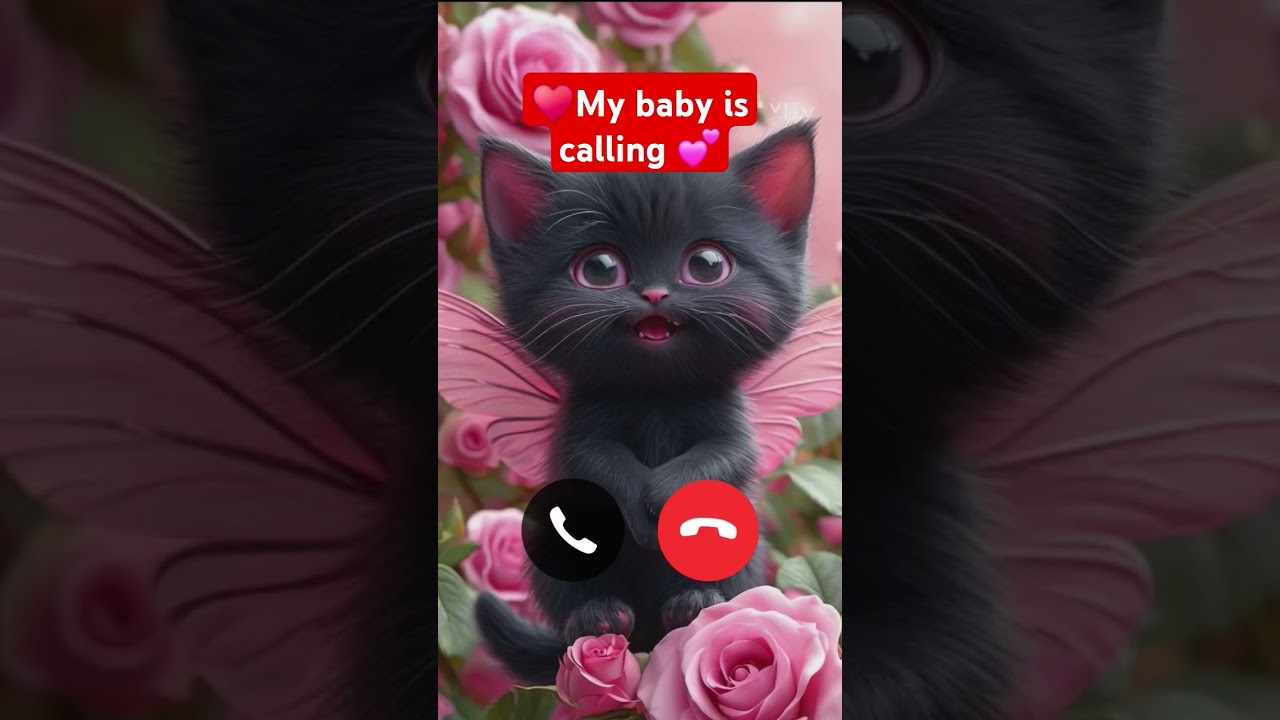 My baby is calling llMl teliphone sound effect ll 