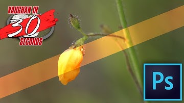 Photoshop | Opacity vs Fill