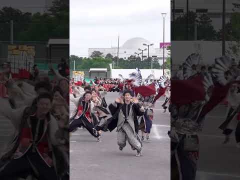 百華夢想（第35回 豊川市民祭り おいでん祭 コンコンどまつりフェス 2026/芝生パレード広場会場） #よさこい#百華夢想#豊川市民祭り#おいでん祭#コンコンどまつりフェス#どまつり#yosakoi