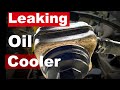 Gasket Failure - Oil Cooler Gasket Replacement Jetta and Golf Mk4/A4 TDI