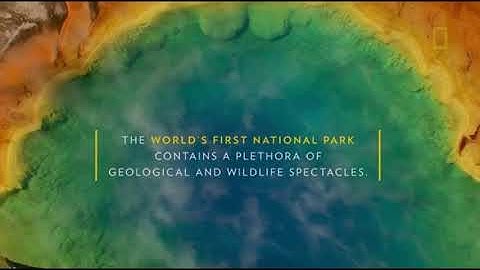 You Could Be Zach King As Well! Check Out This Magic Video Editor | ECCV2020