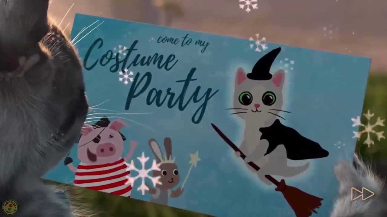 Fun Pet Care Kids Game Little Kitten Adventures Play Fun Xmas