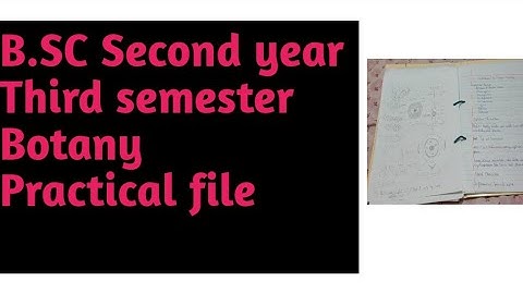 B.SC Second year,Third semester, Botany, Practical file