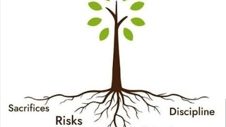 Celebrity Cracking the Code to Financial Freedom: Get Rich in 6 Months Wealth