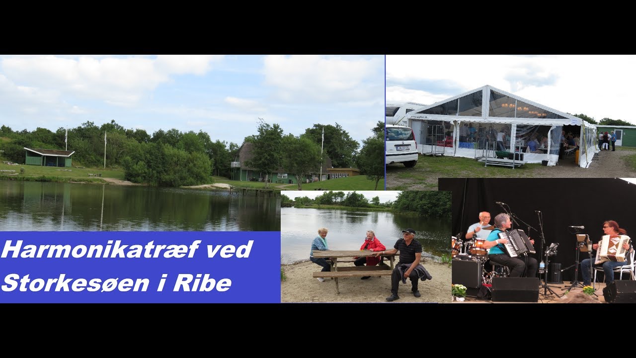 Harmonikatræf i Ribe 2017