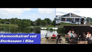 Harmonikatræf I Ribe 2017