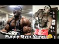 Funny Bodybuilder on Instagram |New Gym Vines 😂|