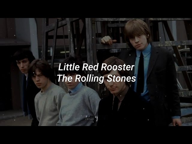 Little Red Rooster - The Rolling Stones (Lyrics) - YouTube