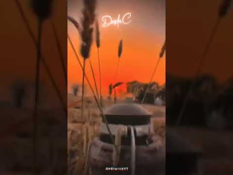 Look Lak (Lyrics