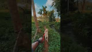 Diego 🐶                                                        #petshorts #dog