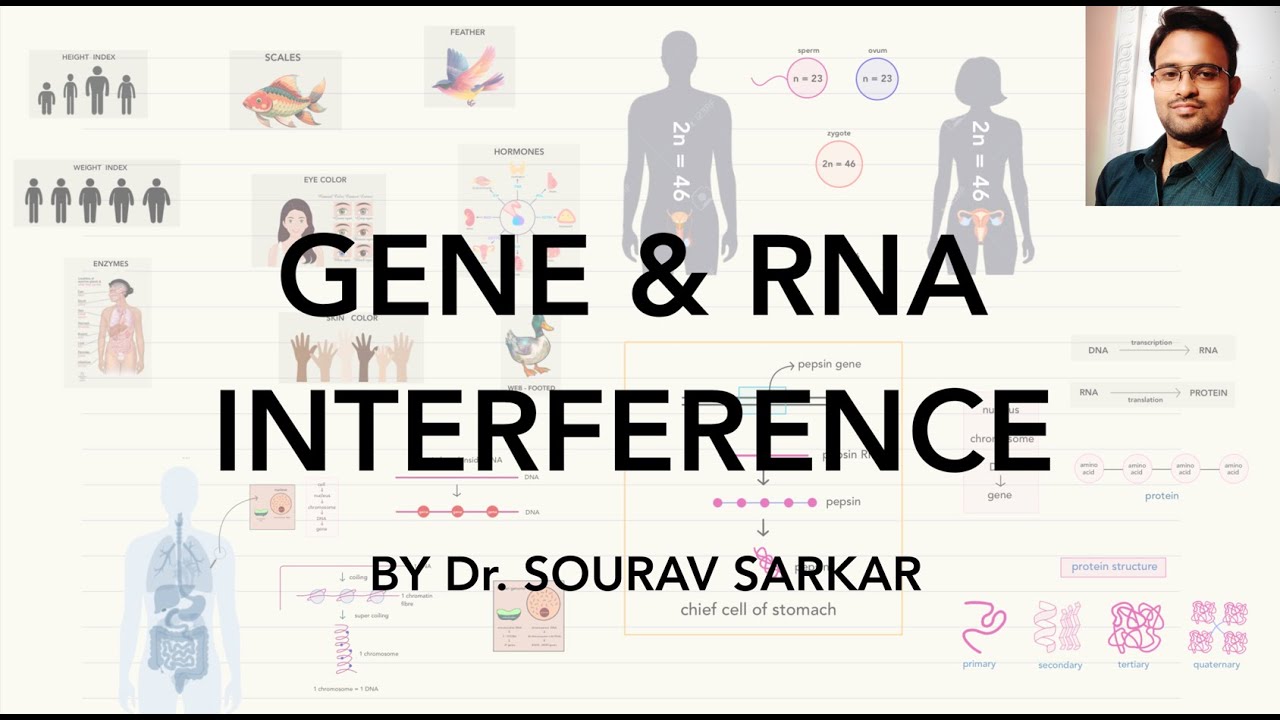GENE & RNA INTERFERENCE - YouTube