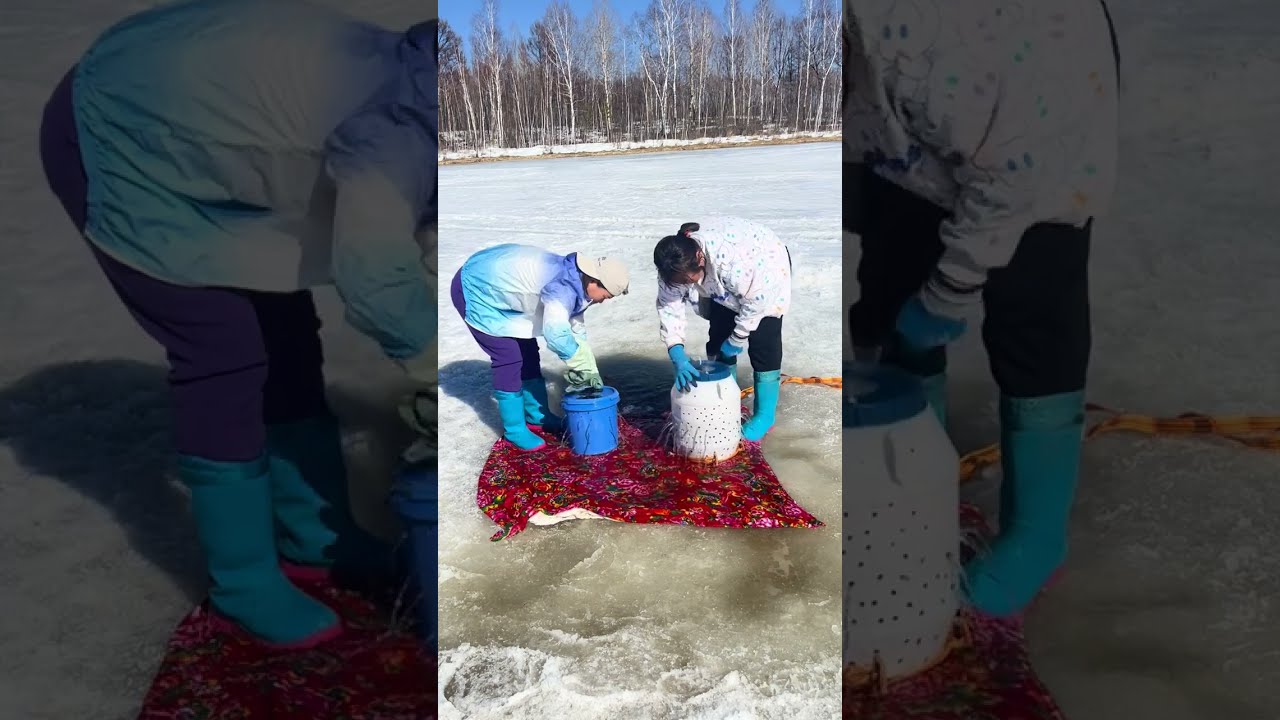 Fishing In Mohe The Northeast Outdoor Joy Wild Experience