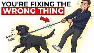 6 Mistakes That Make Reactive Dogs Worse