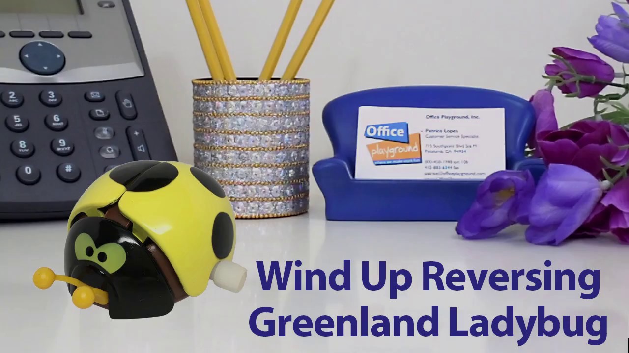 wind up ladybug
