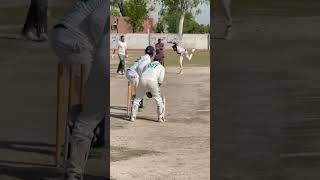 Weird Spin Ball Goes 6 cricket hardball hardballmatch cricketbatting