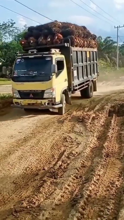 truk muat sawit 12 ton jalan lumpur
