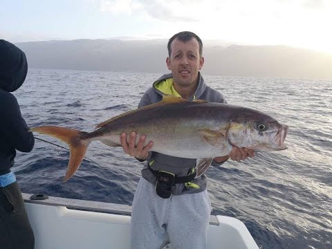Amberjack Jig Madeira
