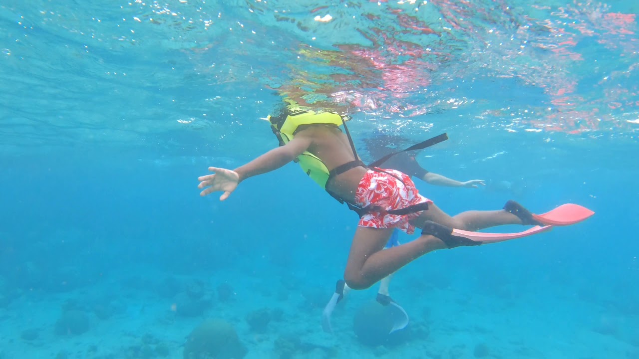 Snorkeling In St Croix, US Virgin Islands YouTube
