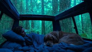 🌧️ Soothing Rain on a Car Roof | Deep Sleep Sounds, Relaxation & Stress Relief